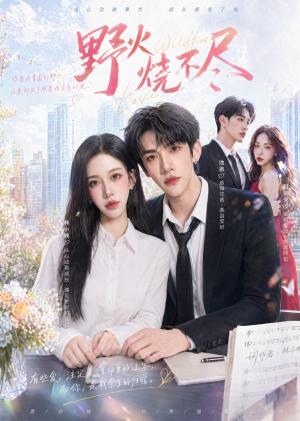 《野火烧不尽(40集)(夸克网盘)》短剧封面