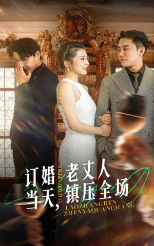 《订婚当天，老丈人镇压全场（29集）（夸克网盘）》短剧封面
