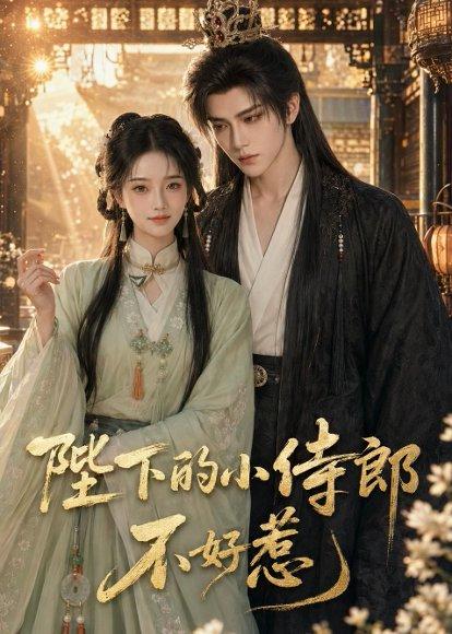 《陛下的小侍郎不好惹（49集）（百度网盘）》短剧封面