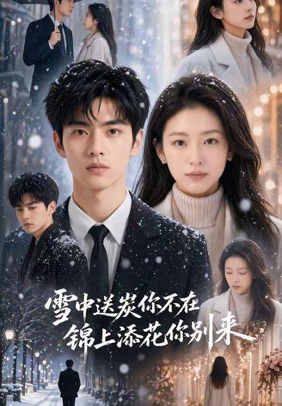 《雪中送炭你不在,锦上添花你别来(60集)(百度网盘)》短剧封面