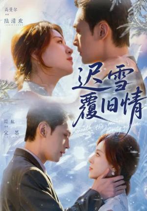 《迟雪覆旧情(62集)高曼尔&周航(夸克网盘)》短剧封面