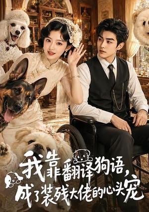 《我靠翻译狗语,成了装残大佬的心尖宠(80集)(夸克网盘)》短剧封面
