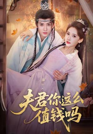 《夫君你这么值钱吗(64集)毕宸睿&宋昭艺(夸克网盘)》短剧封面