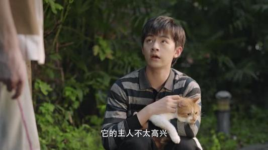 《总裁变猫后同居他超粘人(84集)周体顺&徐紫茵(夸克网盘)》短剧封面