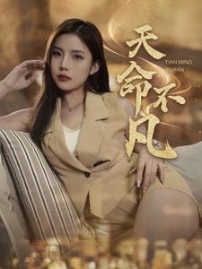 《天命不凡（28集）（夸克网盘）》短剧封面