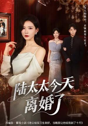 《陆太太今天离婚了（59集）刘灿&丁敬一（夸克网盘）》短剧封面