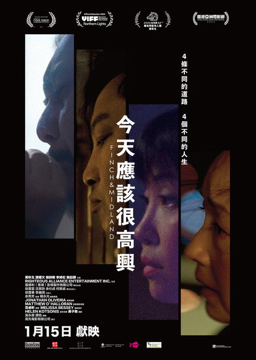 今天应该很高兴 今天应该很高兴封面