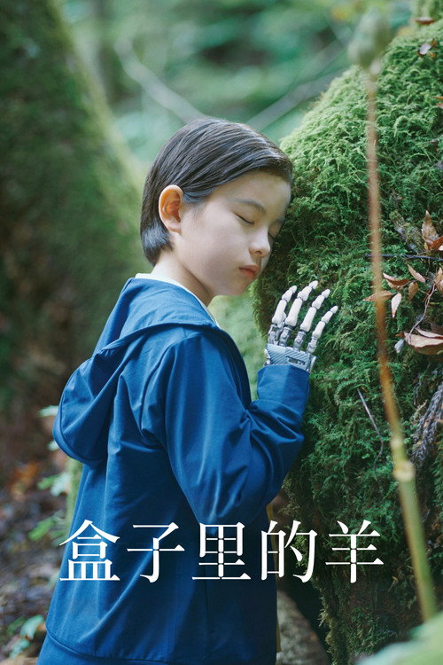 盒子里的羊 盒子里的羊封面
