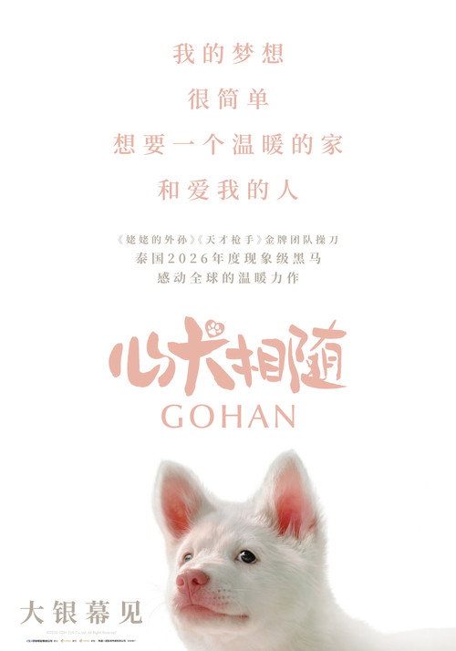 心犬相随 心犬相随封面