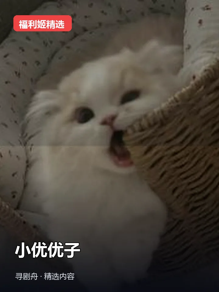 小优优子 最新合集 5.15(迅雷网盘) 小优优子 最新合集 5.15(迅雷网盘)封面
