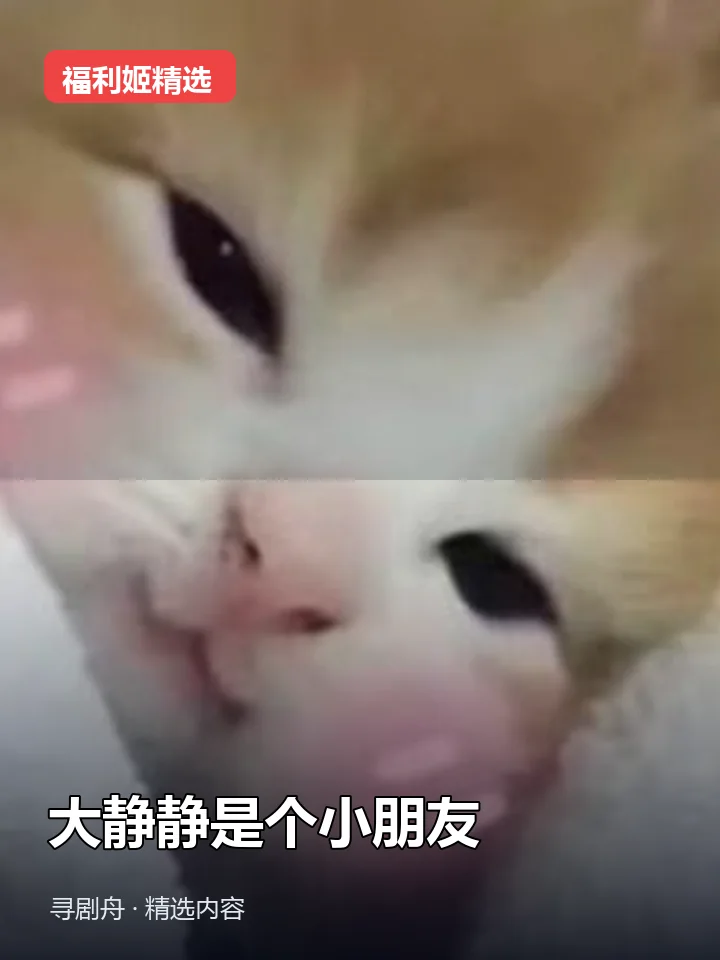 大静静是个小朋友 抖音30万粉女主播(迅雷网盘) 大静静是个小朋友 抖音30万粉女主播(迅雷网盘)封面