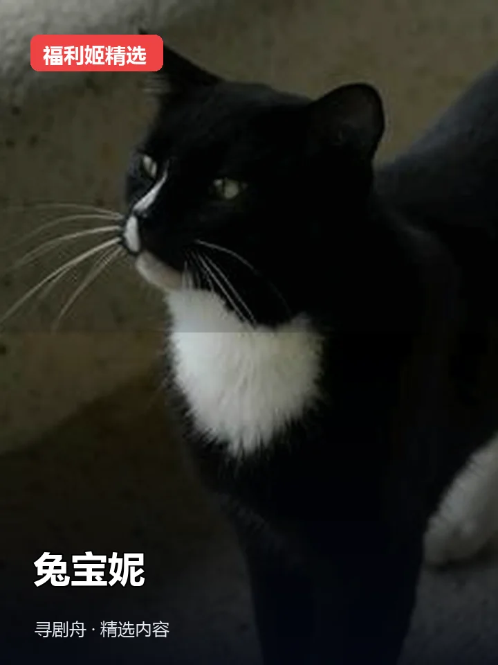 兔宝妮 抖音150万粉女主播(迅雷网盘) 兔宝妮 抖音150万粉女主播(迅雷网盘)封面