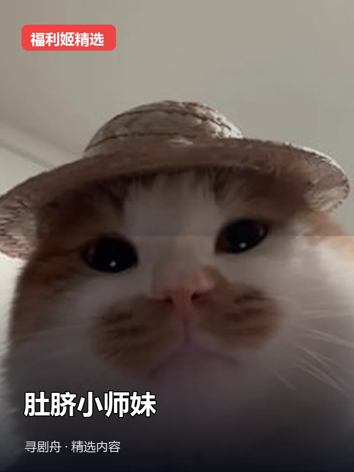 肚脐小师妹 抖音200万粉女主播（迅雷网盘）封面
