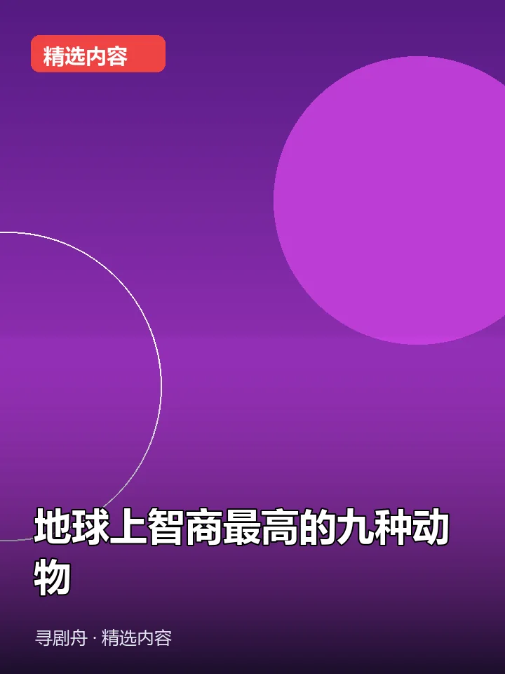 地球上智商最高的九种动物 地球上智商最高的九种动物封面